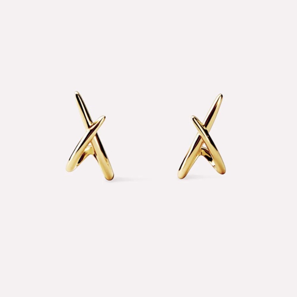 ✨🎄 ANA LUISA SLOANE EARRINGS